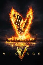 Vikings : Season 1-6 Dual Audio [Hindi ORG – English] WEB-DL 480p & 720p | [Complete]