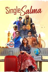 Single Salma (2025) Hindi WEB-DL 480p, 720p & 1080p | GDRive