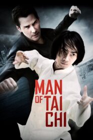 Man of Tai Chi (2013) Dual Audio [Hindi ORG & ENG] BluRay 480p, 720p & 1080p | GDRive