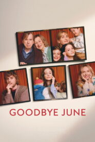 Goodbye June (2025) Dual Audio [Hindi ORG & ENG] WEB-DL 480p, 720p & 1080p | GDRive